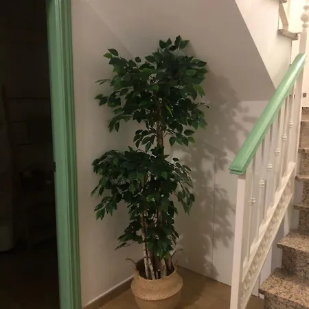 Appartamento Duplex Penthouse 